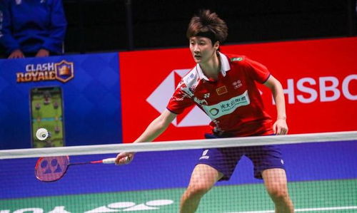 并未因此低 并未因此低